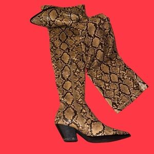 Elyza Snake Thigh High Western Point Toe Boot